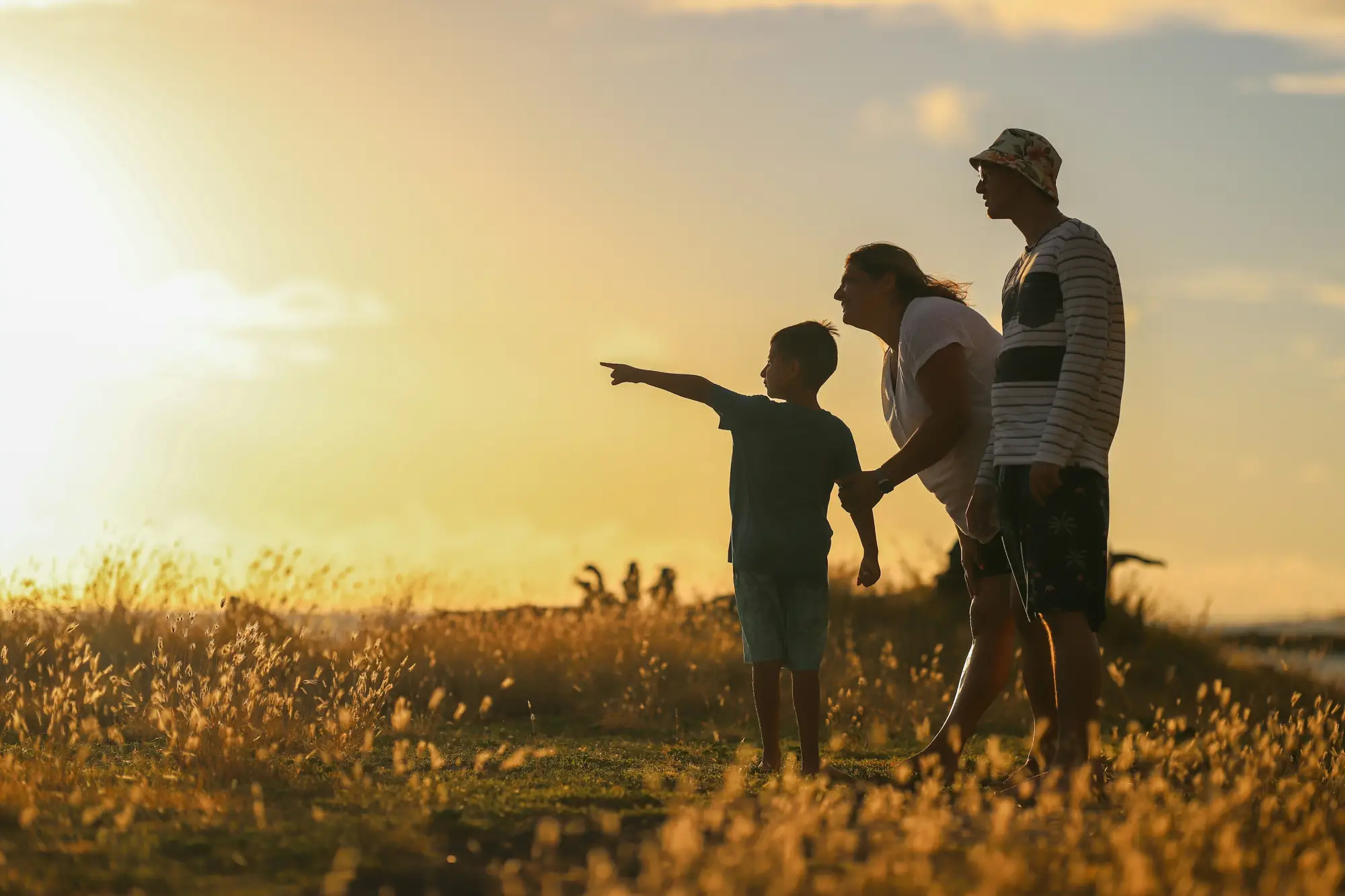 family citizenship